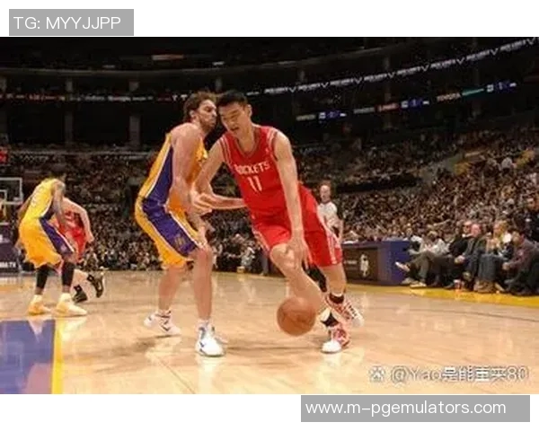 辽宁与四川的激烈对决揭示了篮球战术的魅力与团队合作的重要性